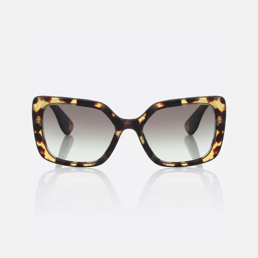 Square Acetate Sunglasses